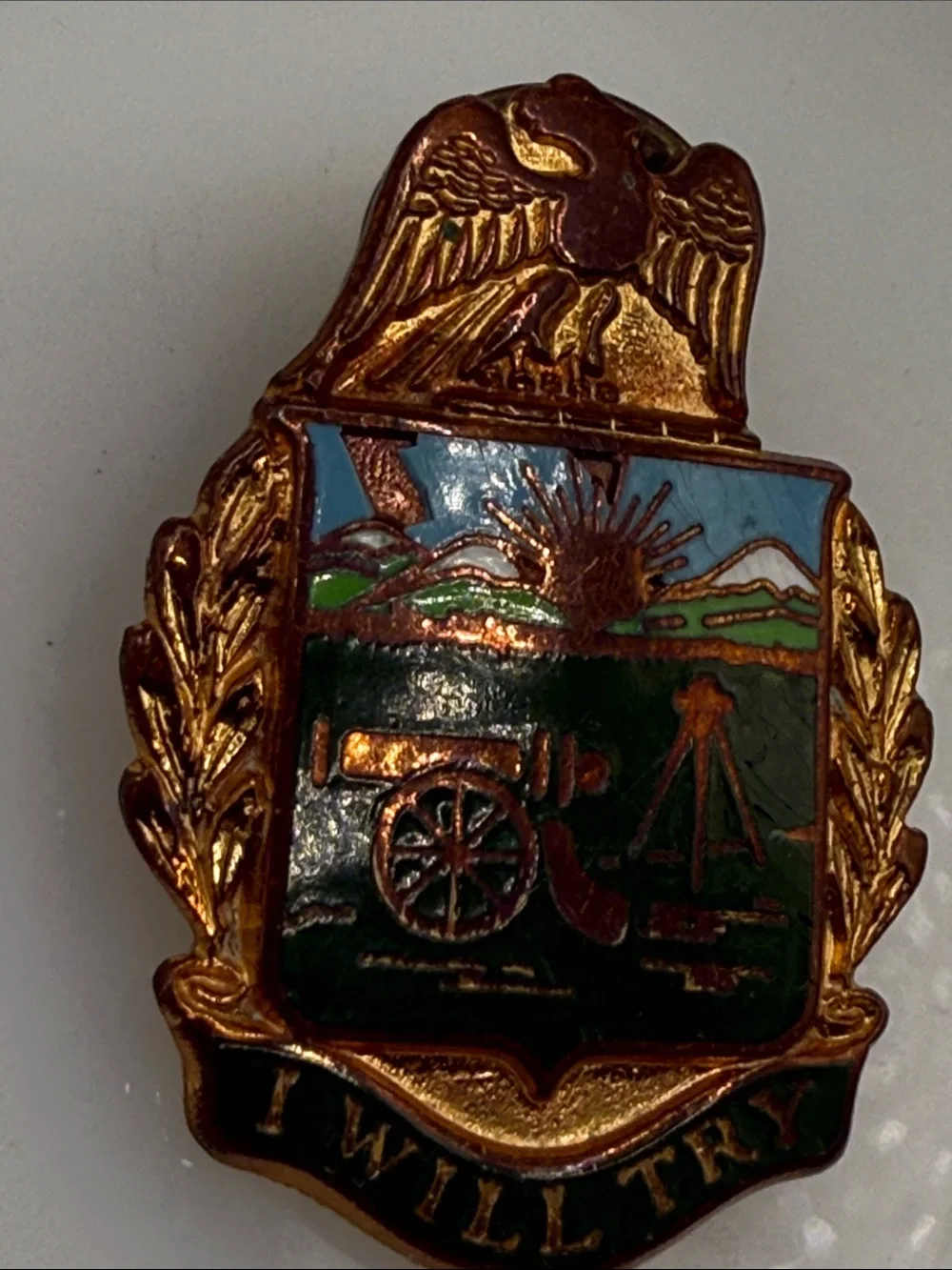 Vintage Enamel Military style Crest Pin eagle Green and Blue Shield enamel